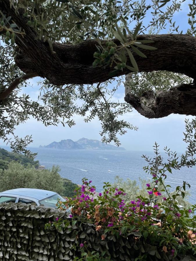 Holiday home Giardino Del Vesuvio, Pompei Terzigno