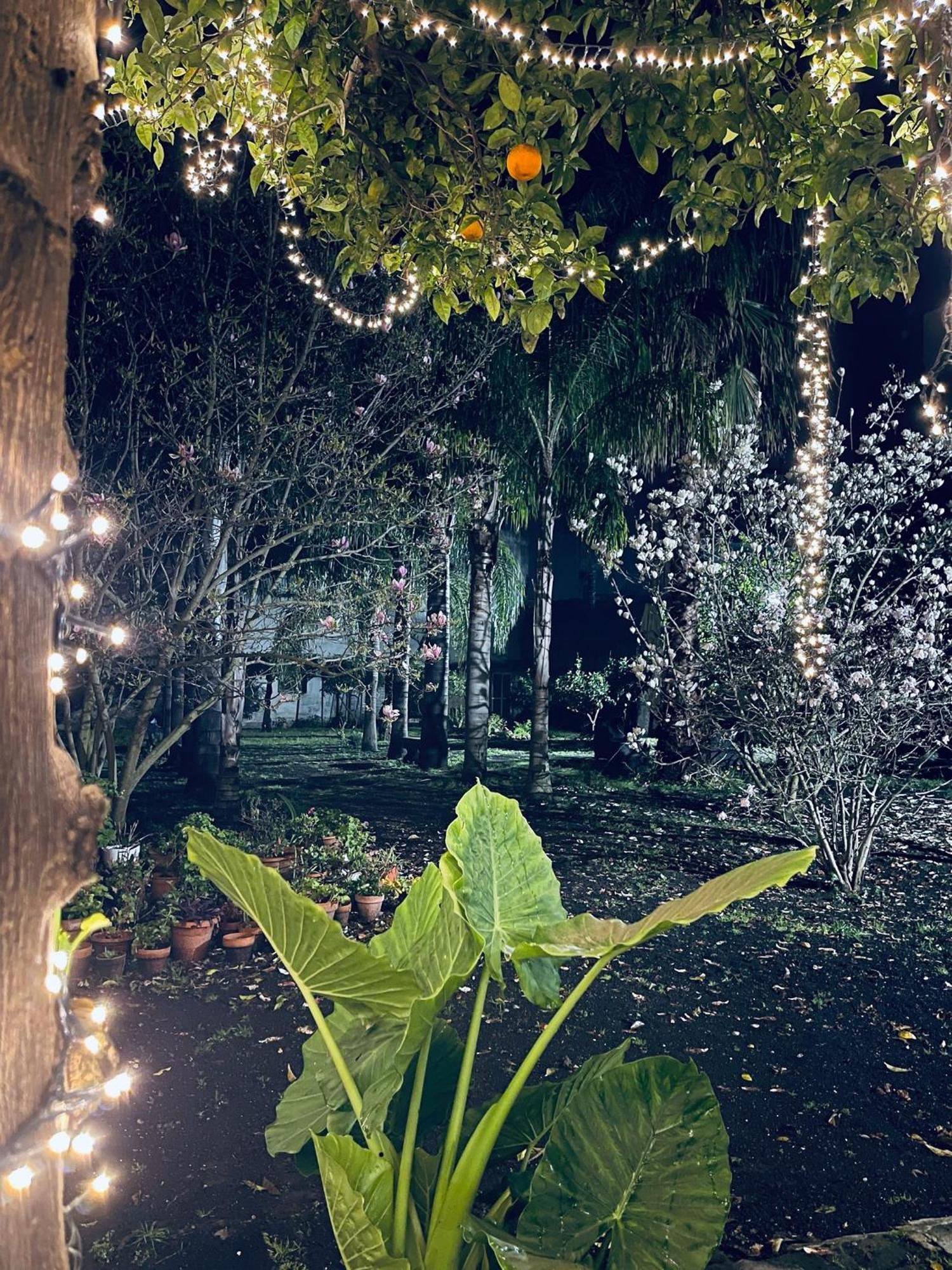 Giardino Del Vesuvio, Pompei * Terzigno